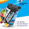 BPI Sports Best Aminos BCAA and Glutamine Supplement, Fruit Punch,