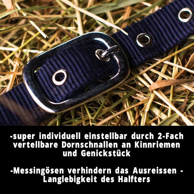 Pferdelinis Halter for Warmblood, Thoroughbred, Cold Blood, Pony - Stable