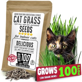CAT Grass Seeds | Grow *100* Pots of Edible Cat Grass for Indoor Cats and Kittens - Easy! Fast! Over 24,000 Smooth Delicious Ryegrass Seeds | Cat Rescuer Bulk Pack