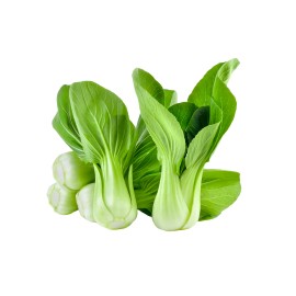 Fresh 1000++ Shanghai Green Stem Bok Choy/Pak Choi Seeds Pak Tsoi Samho 2025