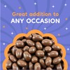 Milk Chocolate Covered Almonds | 2 Lb Bulk Bag |