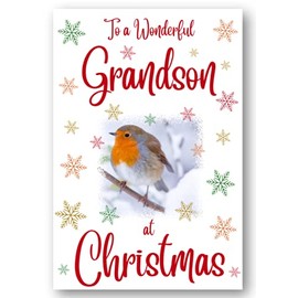 Second Ave Grandson Christmas Robin Xmas Holiday Festive Greetings Card