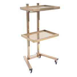 Salon Tray Cart with Storage Platform, 2 Tier Trolley Cart with Wheels, Rolling Storage Utility Cart for Beauty, Tattoo Supplies, Salon Equipment, Gold