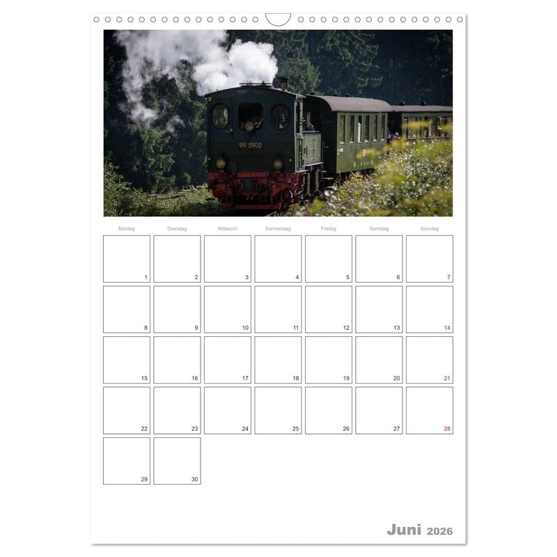 Mit Dampf durch den Harz (Wandkalender 2026 DIN A3 hoch),