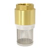 VARIOSAN Foot Valve 14153, 1 Inch Check Valve, Brass, Stainless