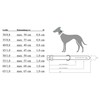 Hunter Freestyle Training Collar, 10 cm Diameter x 55 mm