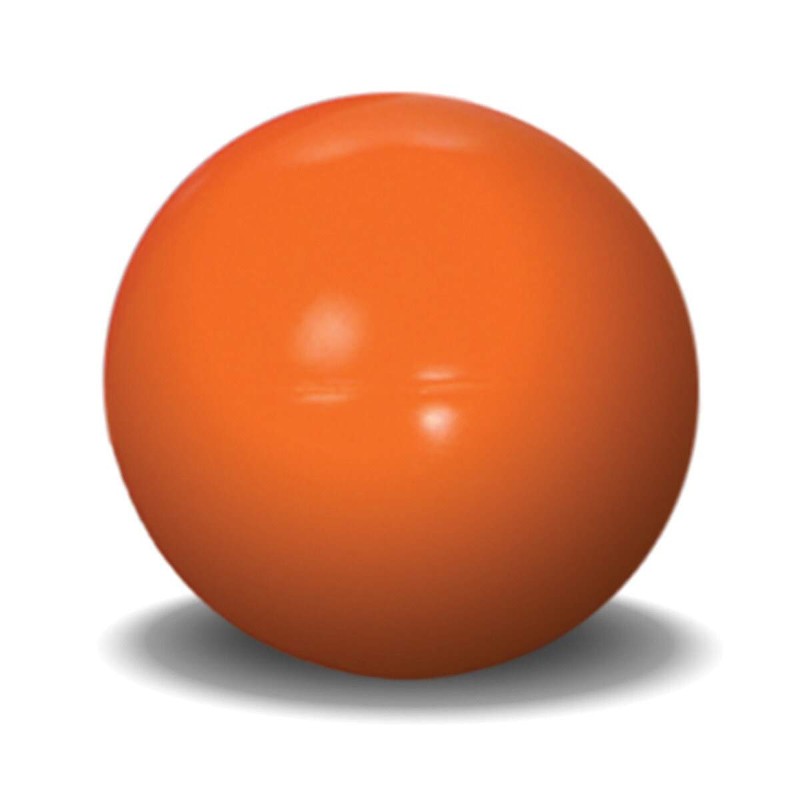 Virtually Indestructible Best Ball for Dogs, 4.5-inch, Colors May Vary