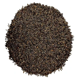 Bird Pro Premium Nyjer Thistle Wild Bird Seed – High-Energy Finch Food for Goldfinches, Siskins & Small Songbirds, Cleaned & Pure (5 Pounds)