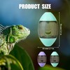 Bearded Dragons Enrichment Toy, Pet Feeder Interactive Toy for Lizards,