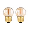 Tsunetani G40 G12.5 Led Filament Mini Globe Light Bulbs 0.5W