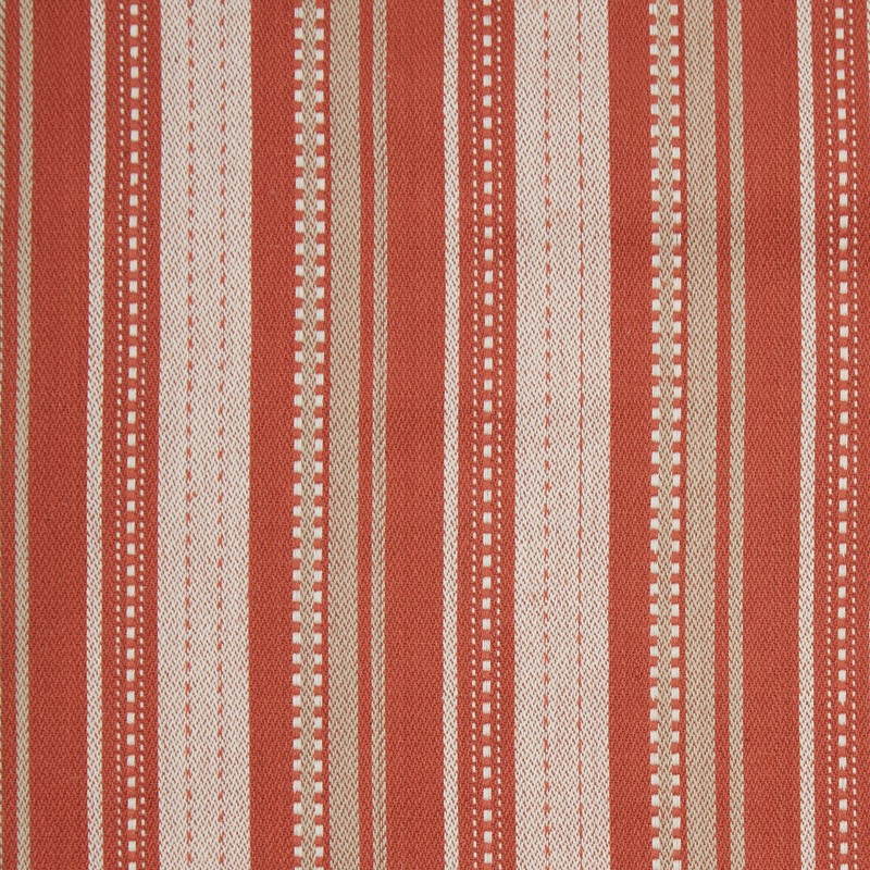 DII 100% algodón, Spice, 1