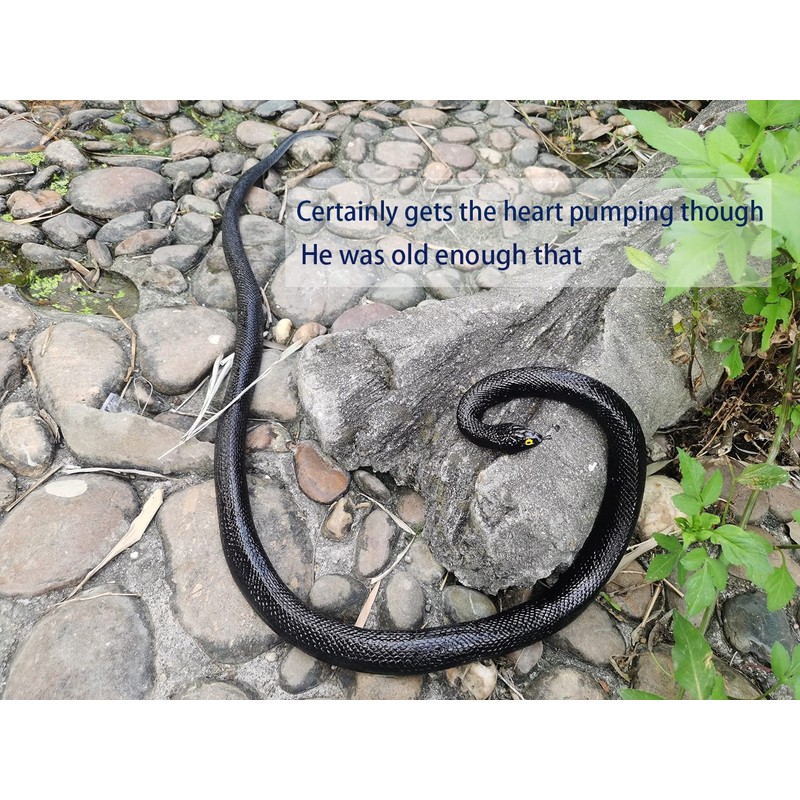 53" Rubber Snake Realistic Fake Snakes Prank Toy to Keep
