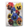 The Pictoria Press Pansies - a 3D Pop Up Greeting