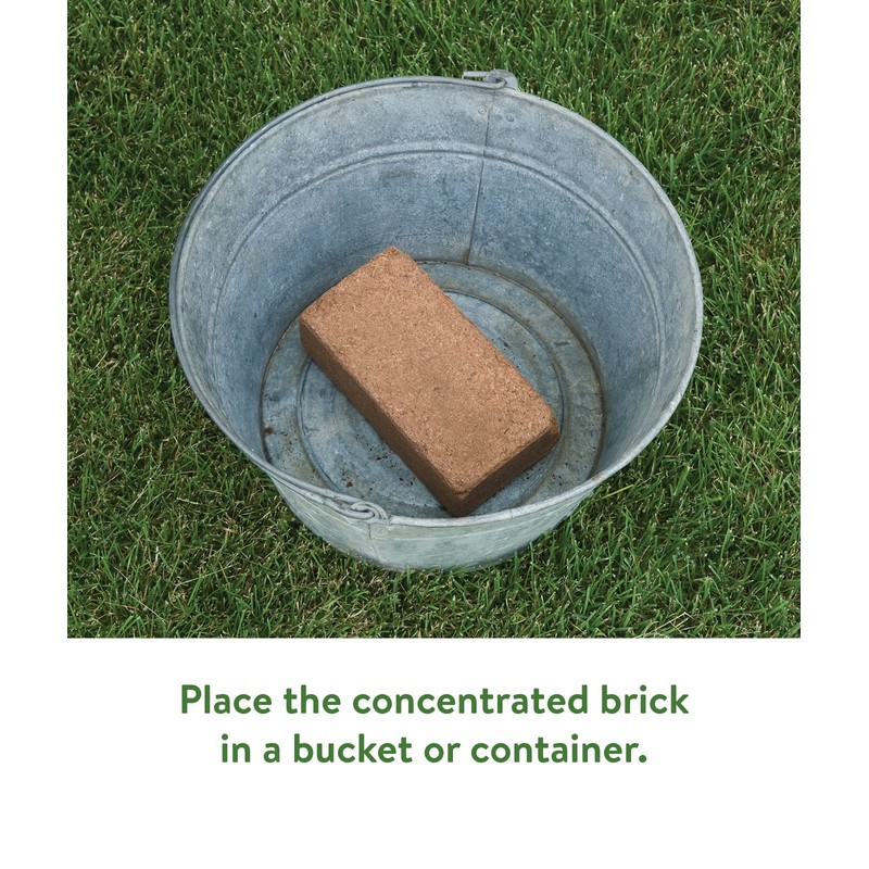 Burpee Organic Coconut Coir Concentrated Seed Starting Mix, 16 Quart