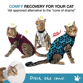 BellyGuard Cat Recovery Suit for Female and Male, Cat Surgery Suit Alternative, Onesie for After Spay Care, Post-Surgery Protective Body Cover for Feline and Kitten Healing