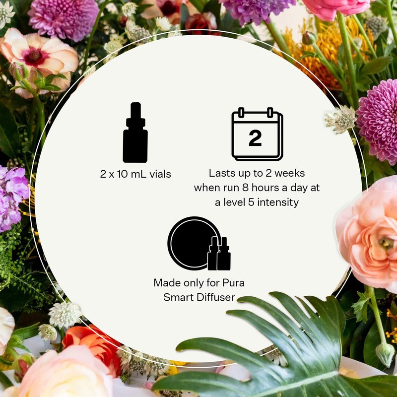 Pura Smart Aromatherapy Diffuser Fragrance Refill by Apotheke (Canvas, 2-Pack)