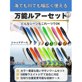 Worm Lure Jighead 100-Piece Set 10 Colors 5 Sizes 1g 1.8g 2.5g 3.5g 5g with Storage Case (Pintail Type)