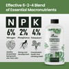 32oz Monstera Plant Food - Makes 192 Gallons of Monstera