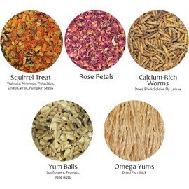 Squirrel Treat Bundle - Natural Healthy Assortment - Fruits, Veggies, Nuts, & Chews - Flying Squirrels, Ground Squirrels, Tree Squirrels, Chipmunks, Groundhogs, Prairie Dogs & Other Rodents