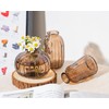 MOLIMAO Bud Vase Set of 3 Small Vase Mini Glass