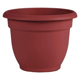 Bloem AP1613 Ariana Self Watering Planter 16" Burnt Red