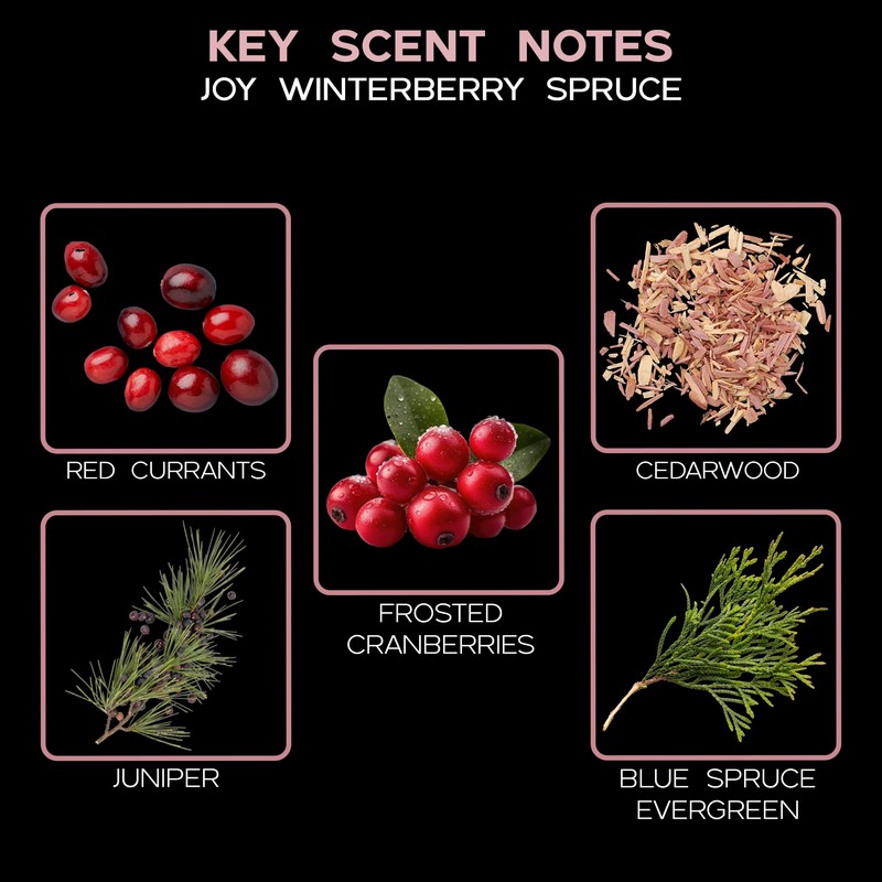 LOVSPA Joy Winterberry Spruce Diffuser Oil - Holiday Essential Oils