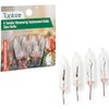Tupkee Shimmering Twinkle Replacement Bulbs – 4-Volt Clear Incandescent Mini