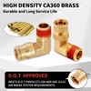QITUO 1/4 Brass Push to Connect Fittings 1/4" OD x