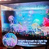 Aquarium Light LED RGB Remote Control: Waterproof Light Aquarium Lamp
