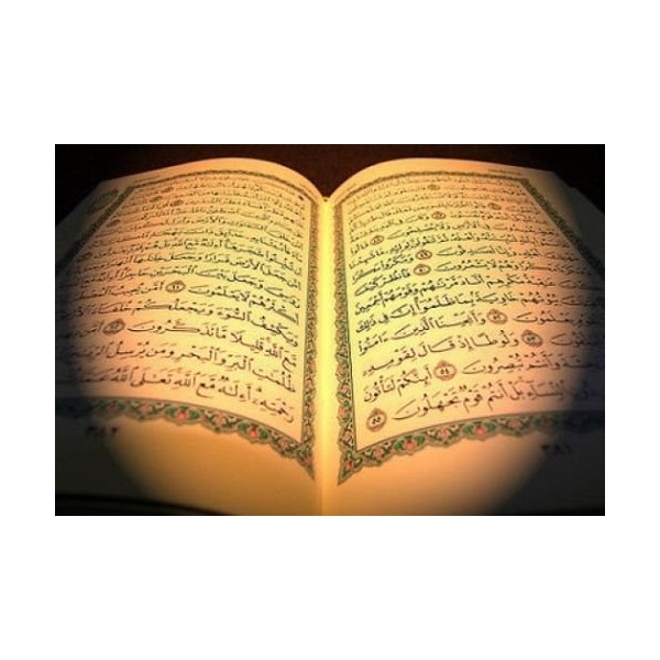 Complete Quran with English Translation By Mishary Bin Rashid Al Afassy (Mp3) 2 Cd's