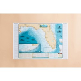 Beautiful Shipwreck Map of Florida and the Eastern Gulf of Mexico (Paper)