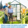 XISOCO 6PCS 4' x 2' x 0.24'' Polycarbonate Greenhouse Panels,