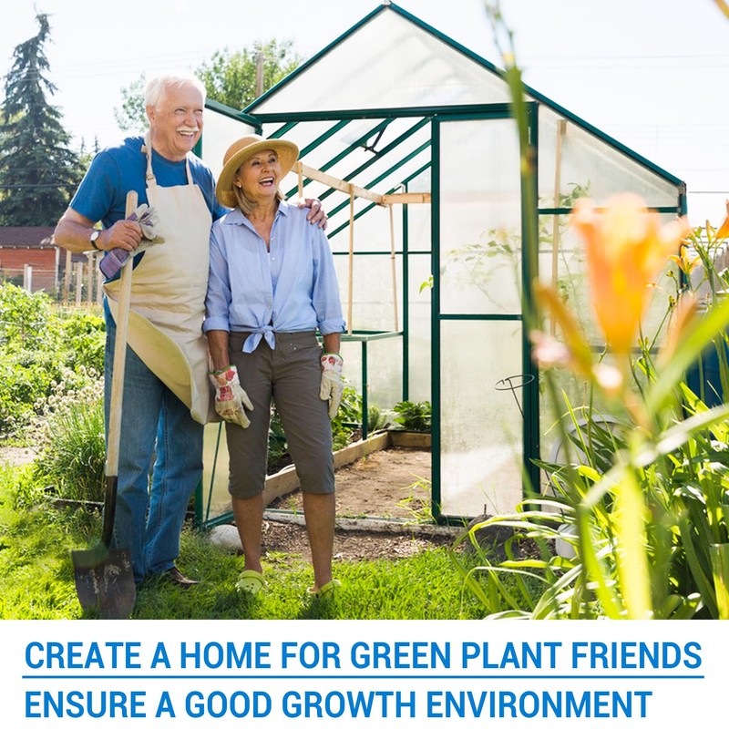 XISOCO 6PCS 4' x 2' x 0.24'' Polycarbonate Greenhouse Panels,