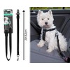 Smart Choice Seat Belt Connector Strap for Dogs, Black, 0.0869