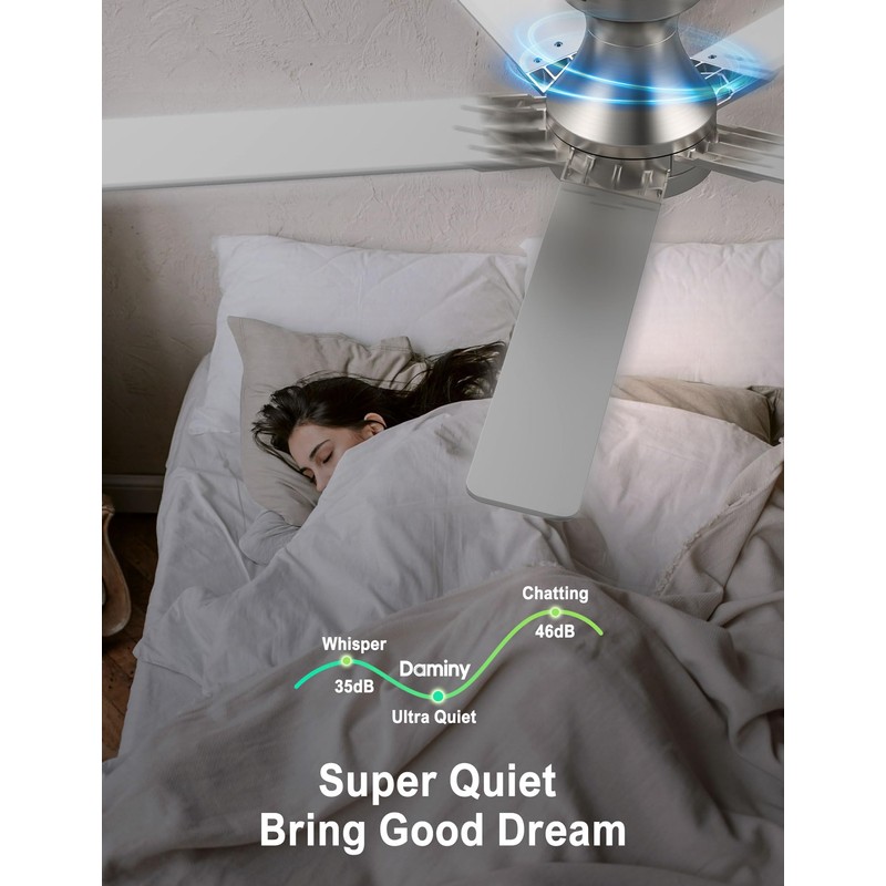 DAMINY 52 inch Nickel Ceiling Fans with Lights,5 Blades,6CCT, Low