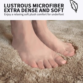 FIFU Bathroom Rug Mat Non Slip, Extra Soft and Absorbent Microfiber Bath Rugs, Plush Shaggy Bath Carpet Runner, Machine Washable, Bath Mats for Bathroom, Tub and Shower, 24x48 Inches Beige