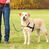 Chain Dog Leash Chew Proof, Metal Chain and Nylon Rope