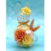 Korolla Seina Preserved Flower White Cat Black Cat Flower Gift