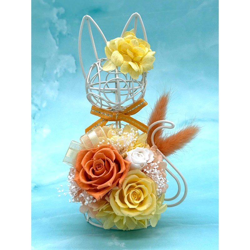 Korolla Seina Preserved Flower White Cat Black Cat Flower Gift