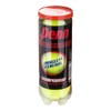 Penn Championship Regular Tennis Balls Single Can