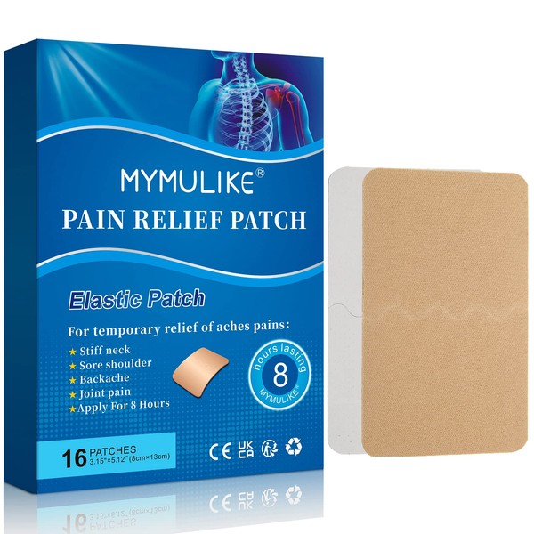 16 Count Pain Relief Patch, Pain Relief Cold Stickers for Neck and Shoulder, Pain Relief for Shoulder, Cold Pain Plasters for Knee, Lumbar Spine