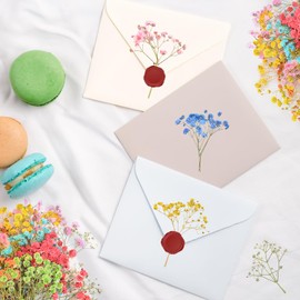 TOPHONIEX 200PCS Mini Dried Flowers Set Nature Real Dry Flowers Pressing Floral Natural Pressed Flowers Gypsophila Dried Flowers for Wedding Resin Art Craft DIY Card Making, 10 Colors