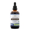 Secrets of the Tribe Burdock USDA Organic | Alcohol-Free Extract,