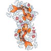 THE FANTASY Carp-1 Tattoo Stickers, Carp, Brocade Carp, Large, A4,