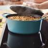 Rachael Ray NITRO Cast Iron Dutch Oven, 6.5 Quart, Agave