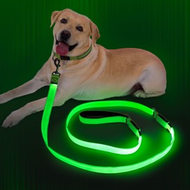 Dlitk Light Up Dog Leash, 6 Ft LED Dog Leash Rechargeable, Nylon Reflective Leashes with Padded Handle for Night Walking, Safety Glow Dog Lights for Large Medium Small Dogs(Green, 6 Ft)