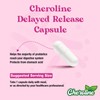 Cheroline Vaginal Probiotics for Women, 70 Billion CFU, 7 Strains