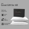 downluxe Goose Feather and Down Pillows - Hotel Collection Feather