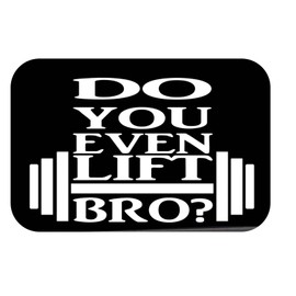 thatlilcabin - Do You Even Lift Bro? Sticker AS554 6" Decal