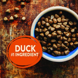 Wellness CORE Natural Grain Free Dry Dog Food, Wild Game Duck, Turkey, Boar & Rabbit, 12-Pound Bag